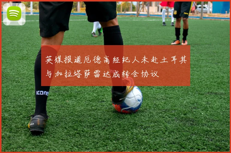 英媒报道厄德高经纪人未赴土耳其与加拉塔萨雷达成转会协议